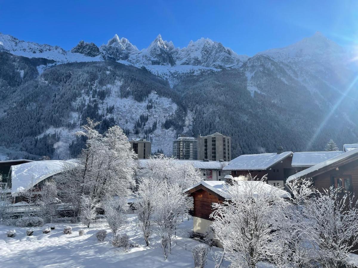 Апартаменты Apartament Z Widokiem Na Mt Blanc Шамони Экстерьер фото